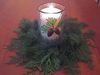 Pinecone and Needles (CDV)