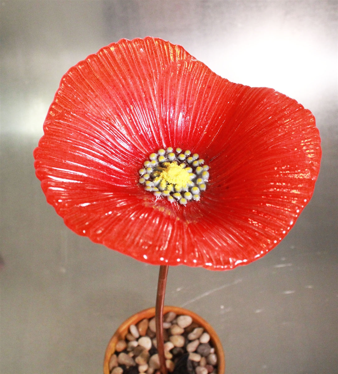 Poppy (CPI LF110)