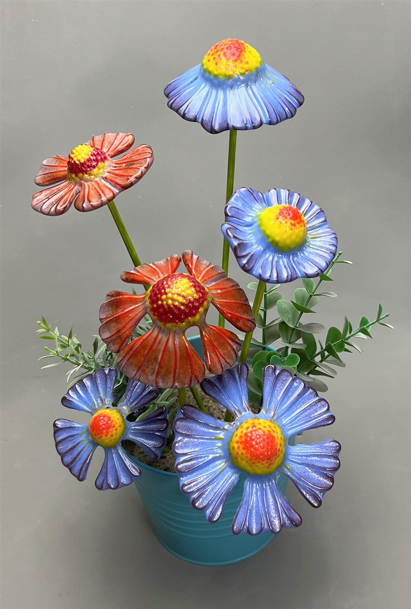 Two Coneflowers (CPI LF244)