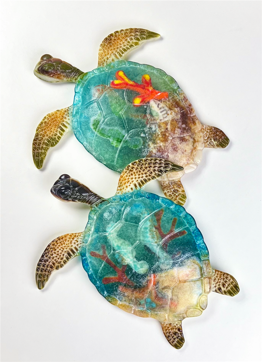 Large Sea Turtle (CPI LF255)