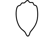 Vitrigraph Pull Plate - Petal