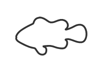 Vitrigraph Pull Plate - Fish