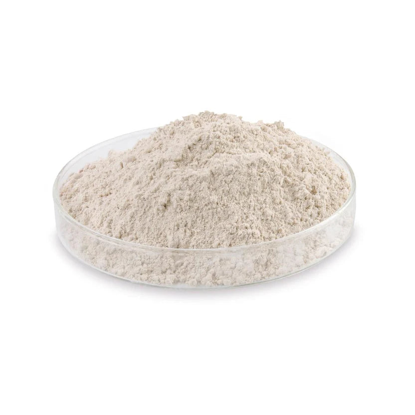 Bullseye Shelf Primer, 8 oz.