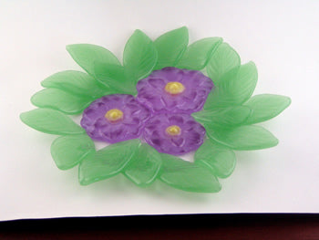 Anemone (CDV)