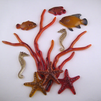 Tropical Fish (CDV)