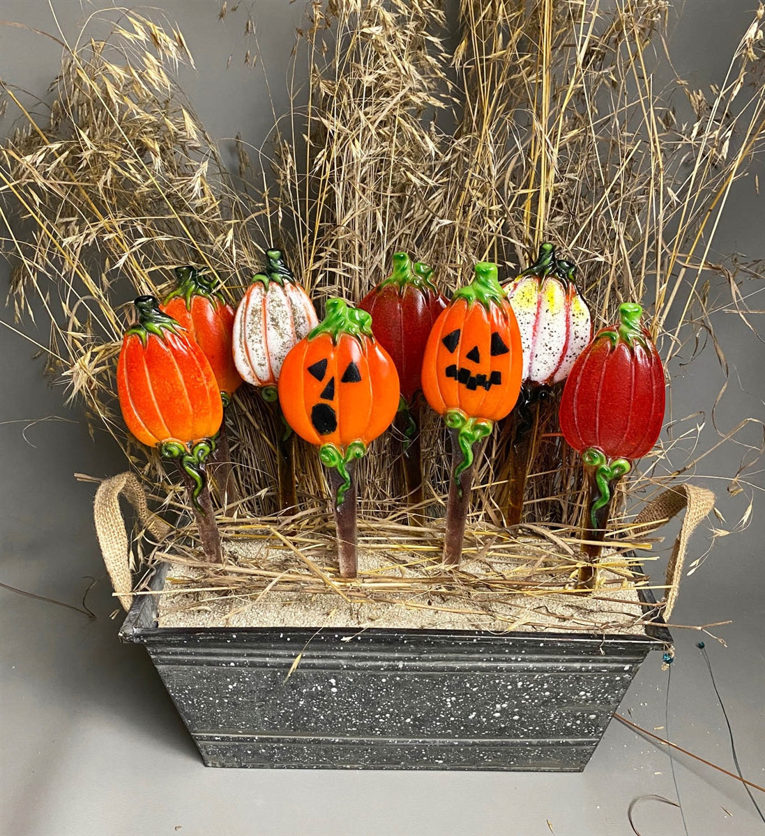 Pumpkin Stakes (CPI LF213)