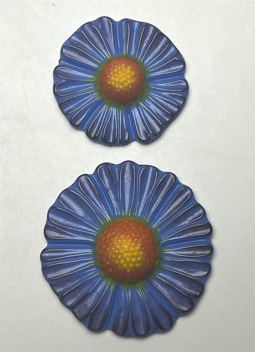 Two Coneflowers (CPI LF244)