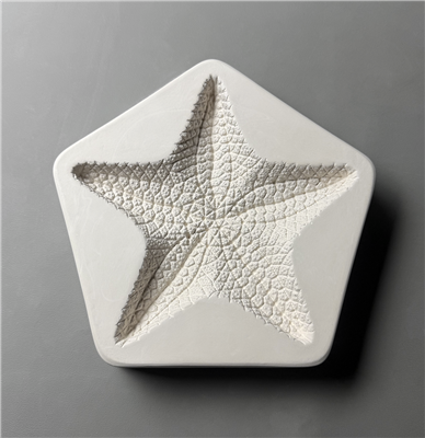 Large Starfish (CPI LF262)