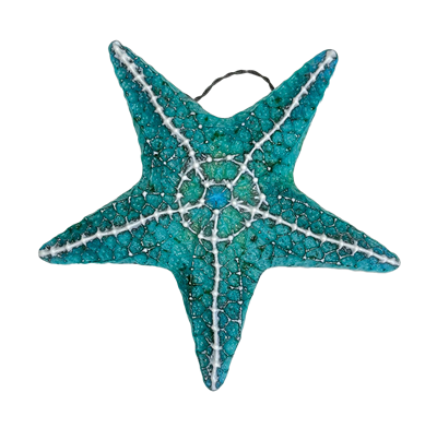 Large Starfish (CPI LF262)