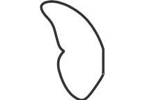 Vitrigraph Pull Plate - Butterfly Wing